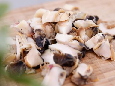 ����������������������