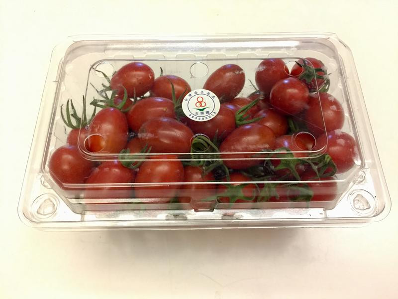 ����ެ��������������