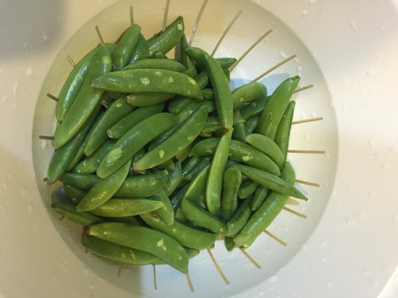 �⳴�㶹������