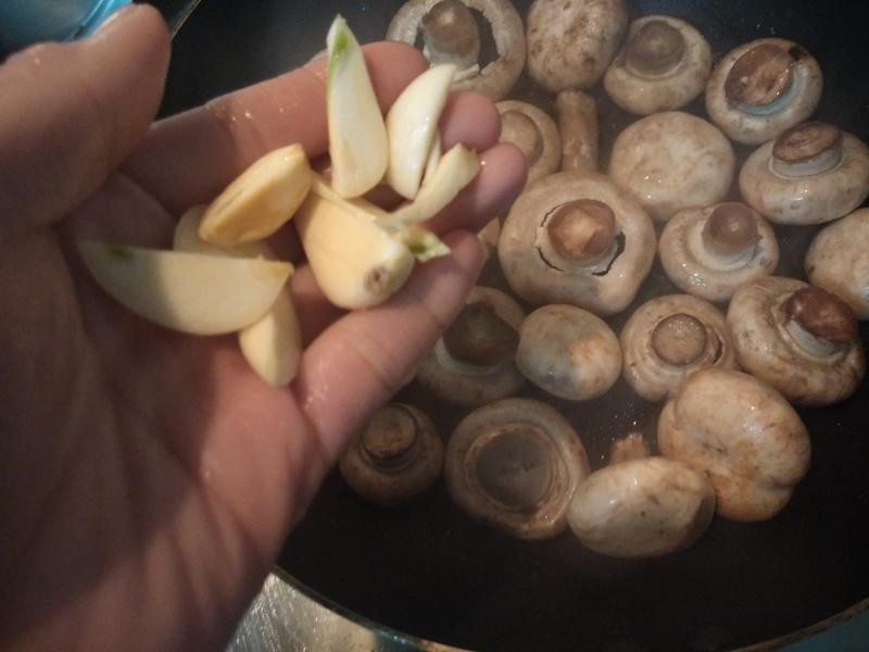 ��˾Ģ��������