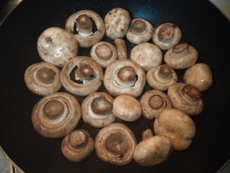 ��˾Ģ��������