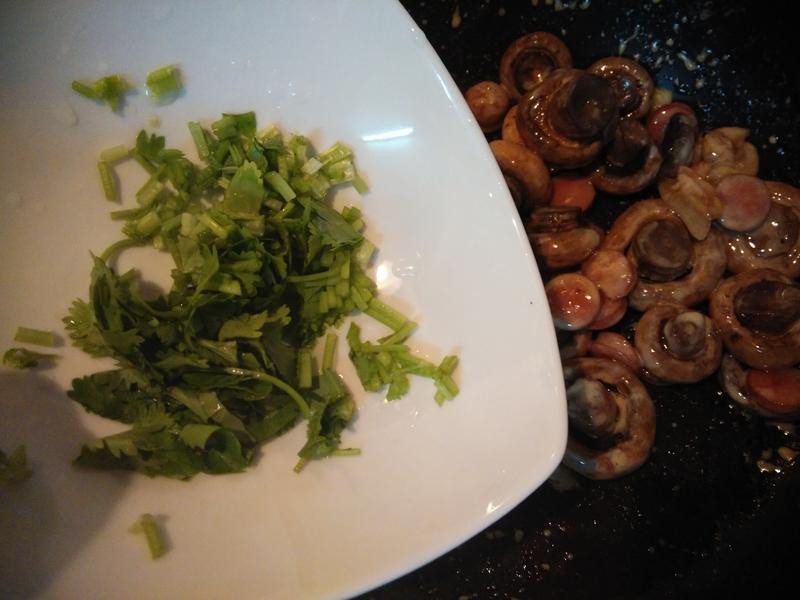 ��˾Ģ��������