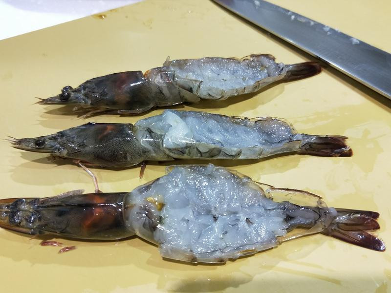 ����������Ϻ������