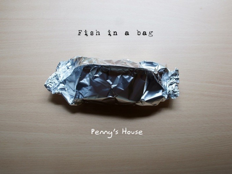 Áúµ¨Ê¯°ßÓãÅŵÄ×ö·¨