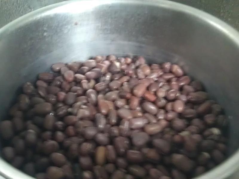 [�������]�춹���ڵ�����