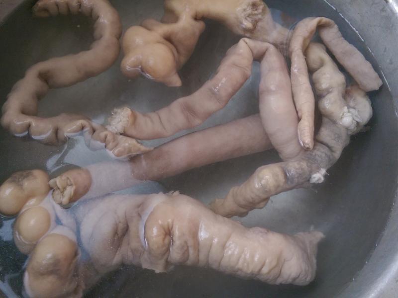 ���ˤ���±�󳦵�����