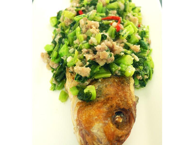 ѩ�������ͷ�������