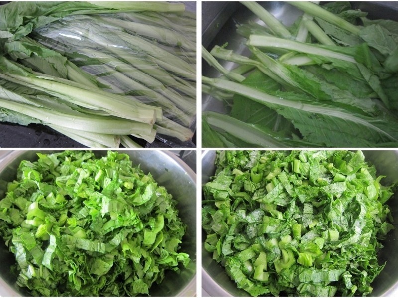 �ٳ�ѩ��������