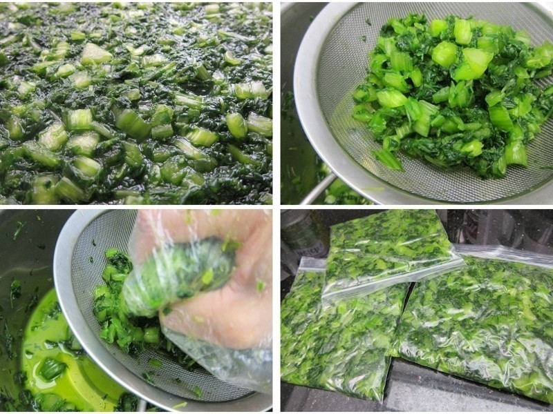 �ٳ�ѩ��������