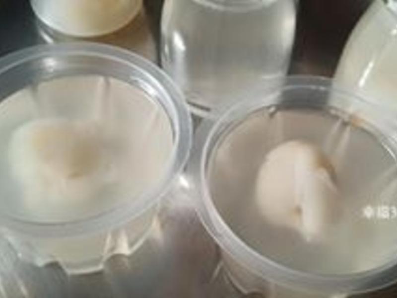 ������֦����������