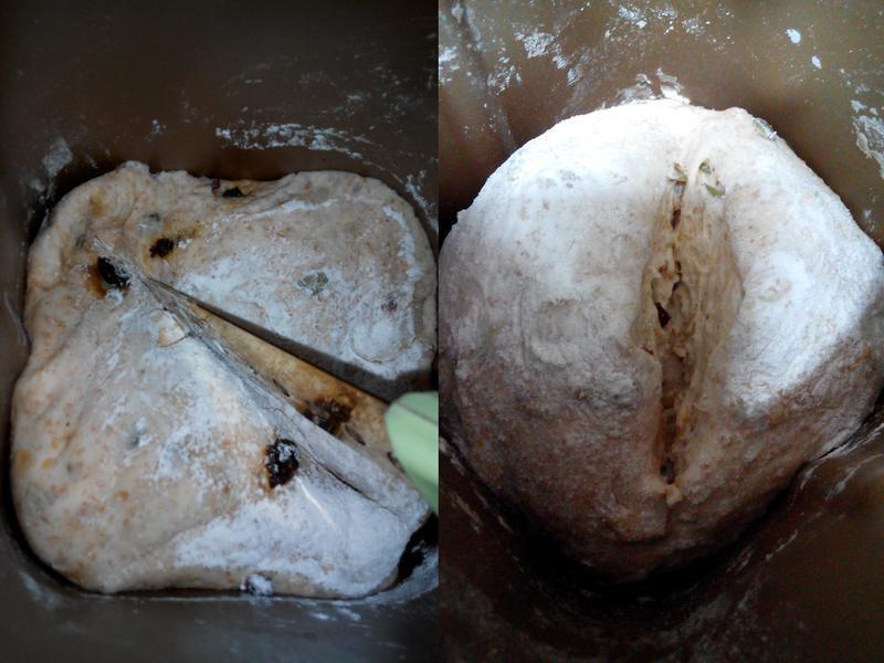 �̠`��˾�������-�ѥ�ι�(�ֹ�)�����������