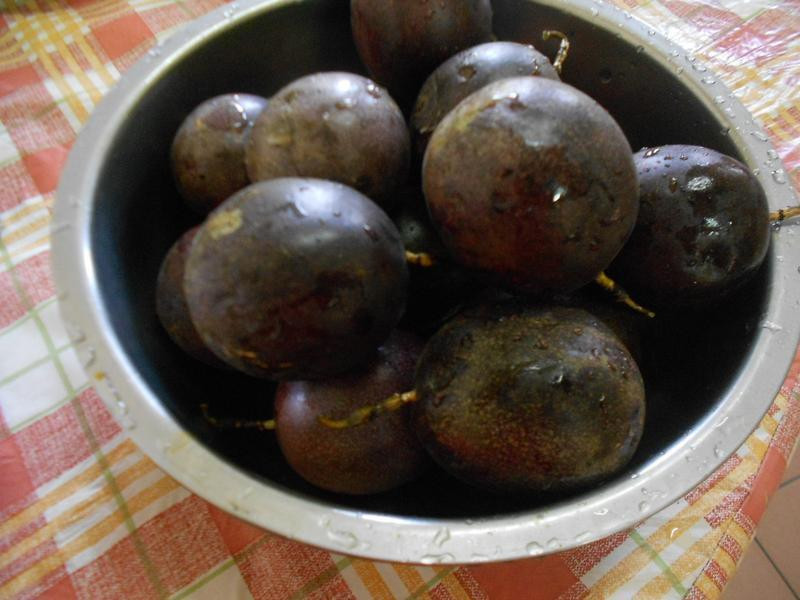 �ڷҵ����ӳ���--�������������