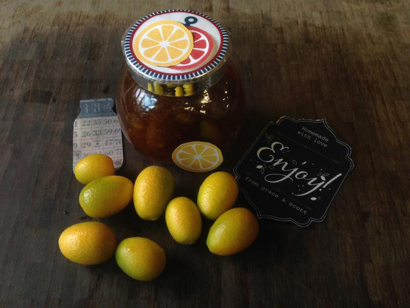 ���ƽ�۹���������