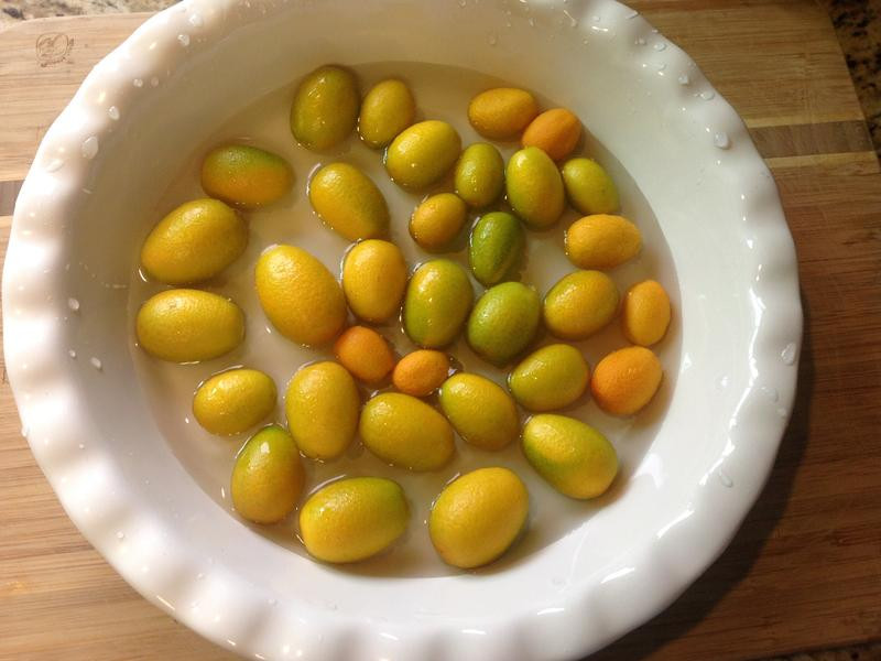 ���ƽ�۹���������