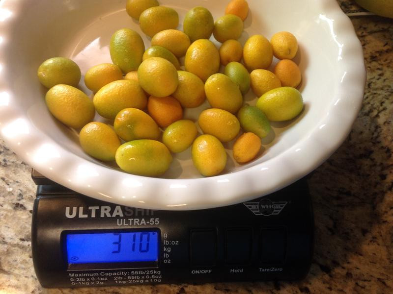 ���ƽ�۹���������