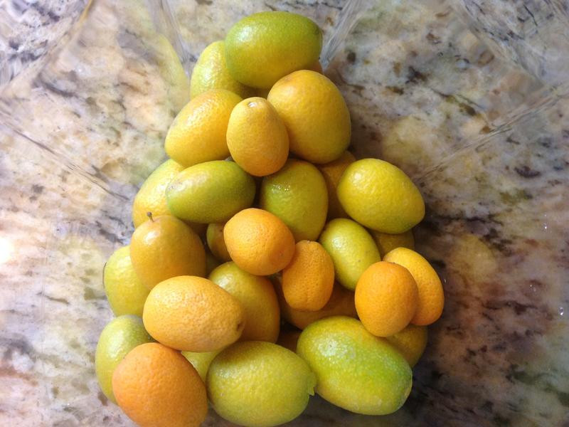 ���ƽ�۹���������