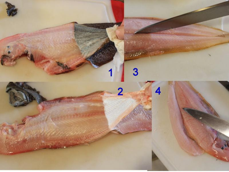 ��ʽ����Ŀ�������