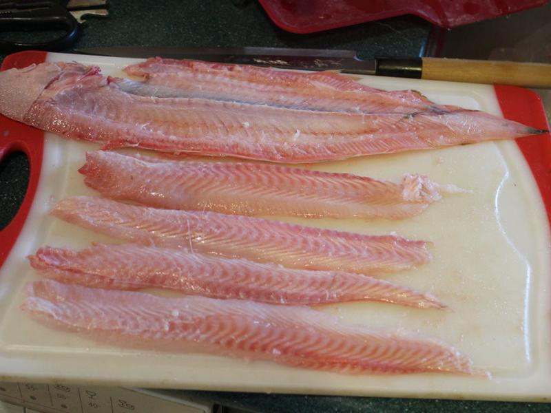 ��ʽ����Ŀ�������