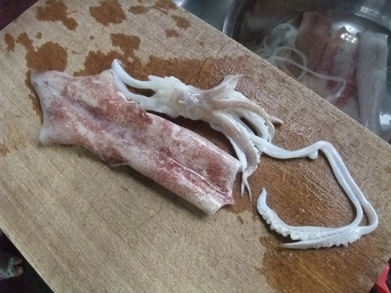 �ȳ���Ϻ͸�������