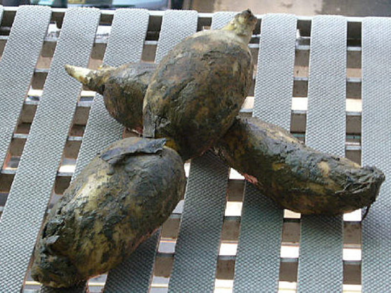 �Ǵ���ź������