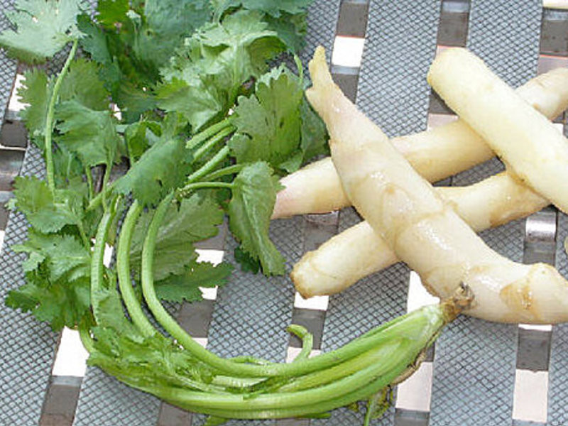 �Ǵ���ź������