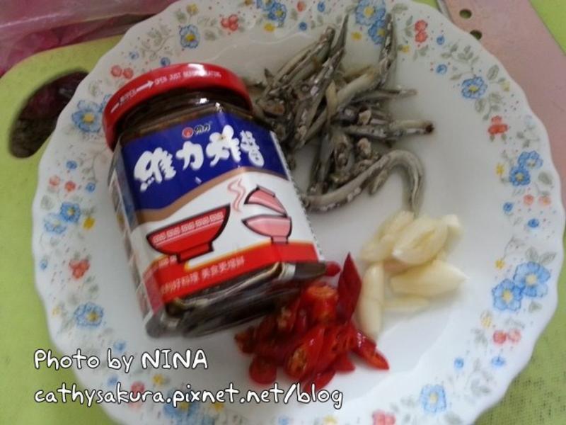 ��NINA����϶����㡺ά��ը����������