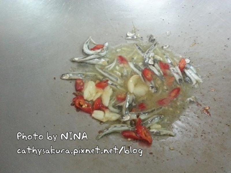 ��NINA����϶����㡺ά��ը����������