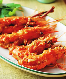 ެ��������Ϻ������