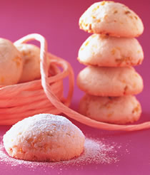 ����ѩ�������