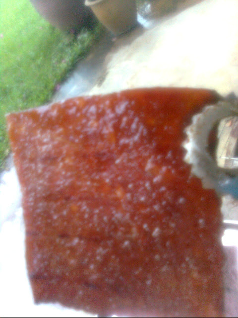 ÔζÖíÈâ¸ÉµÄ×ö·¨