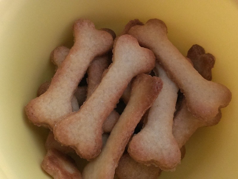 ������~������ɵ�����