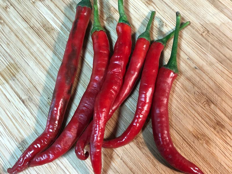 ����θ������ܲ�������