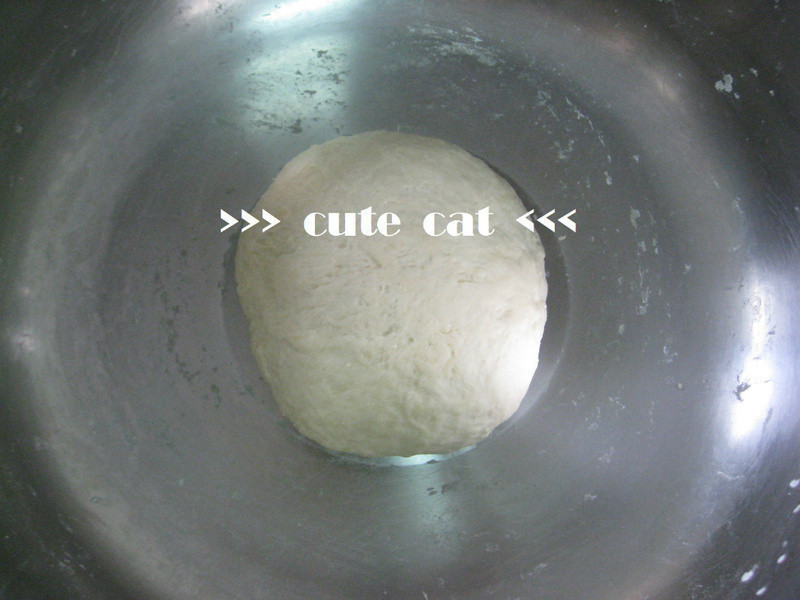 ? Hand-made pizza ?������