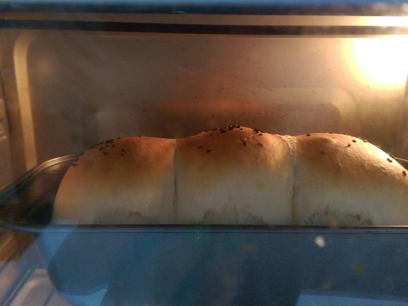 ����ζ������������