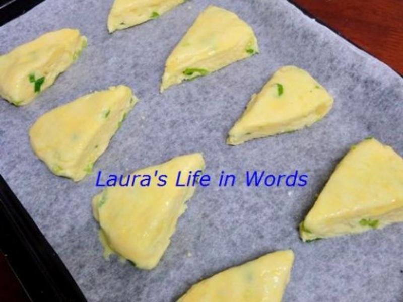 ������˾��������