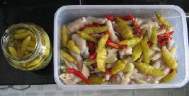 ��Ů��---�ݽ���צ������