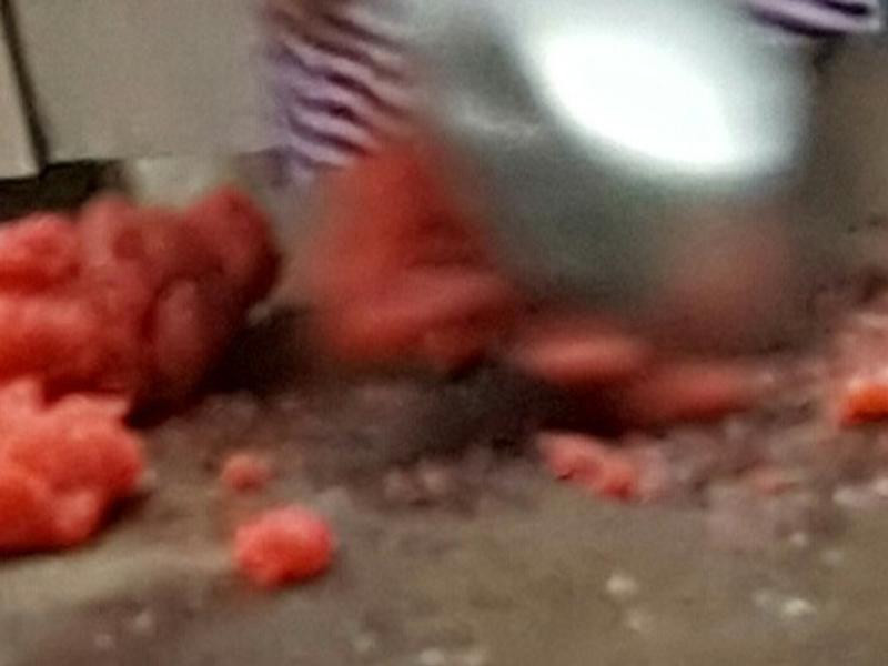 ��̫�Ӻ񵰾�������