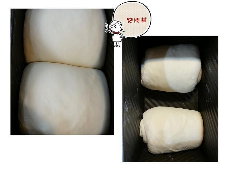 ����������˾������