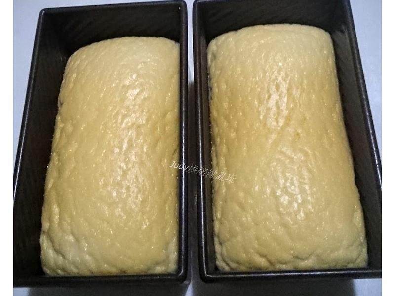 �������Ѹ���˾������