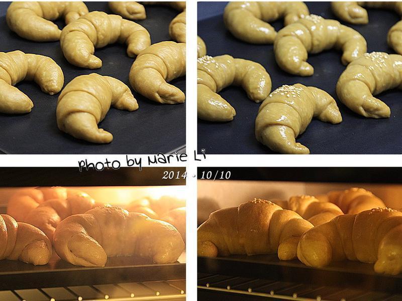 ��������ţ�����������