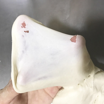 �������ñ���������