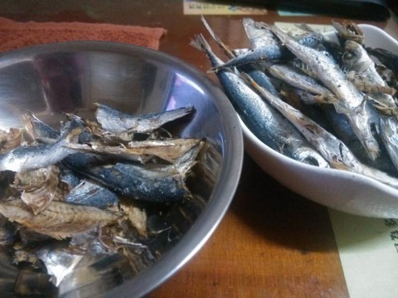 ����������ɵ�����