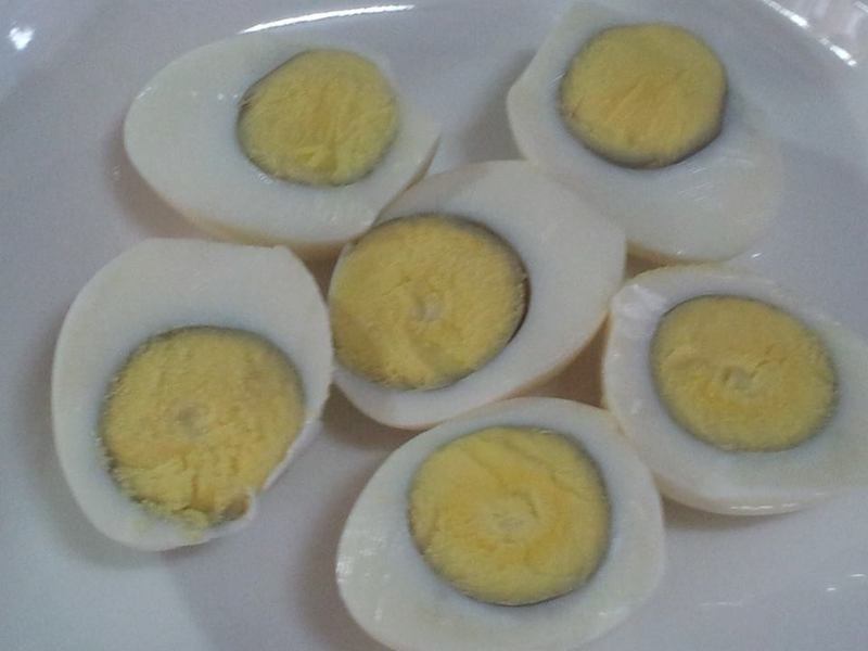 ������������衿з�ϰ���������ɳ��������