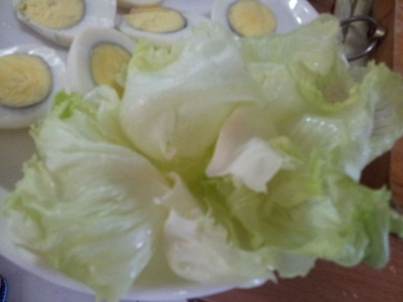 ������������衿з�ϰ���������ɳ��������