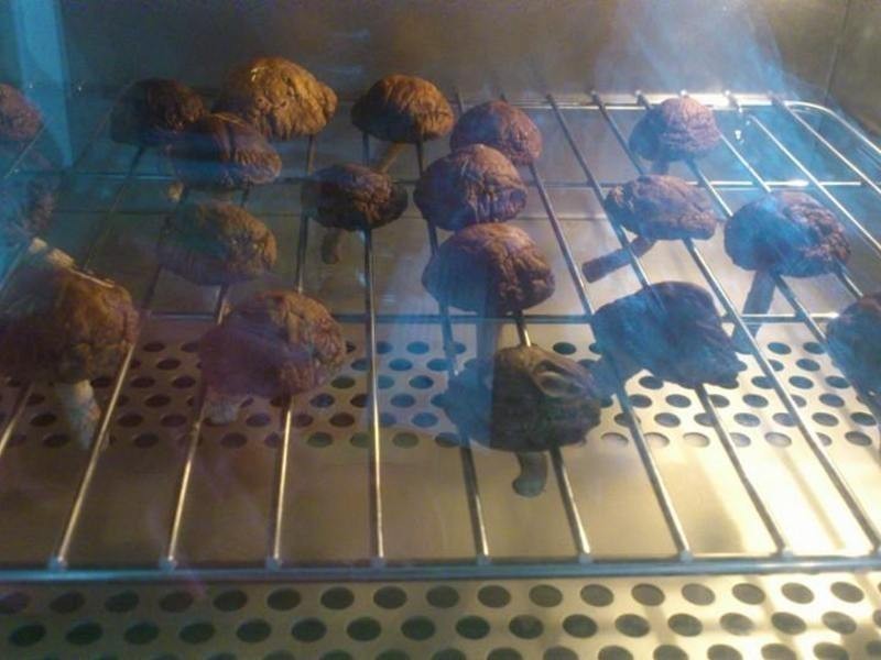 ���Ƹ����㹽������