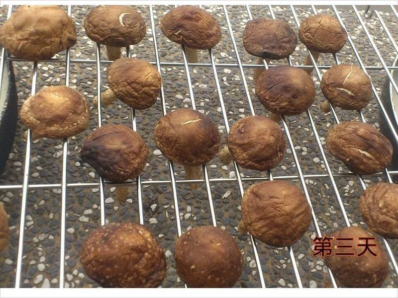 ���Ƹ����㹽������