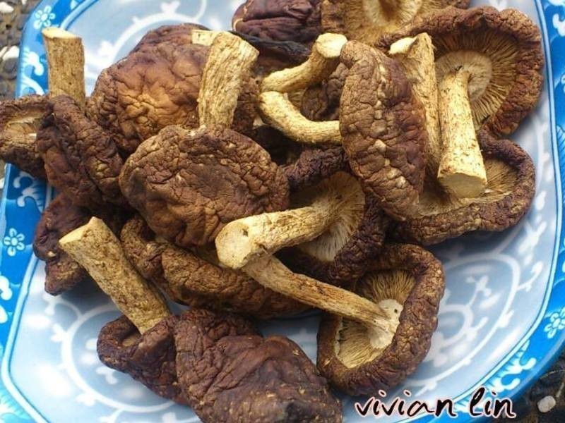 ���Ƹ����㹽������