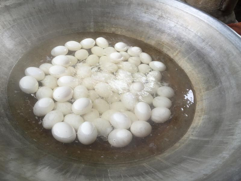 ����ڲʵ�������