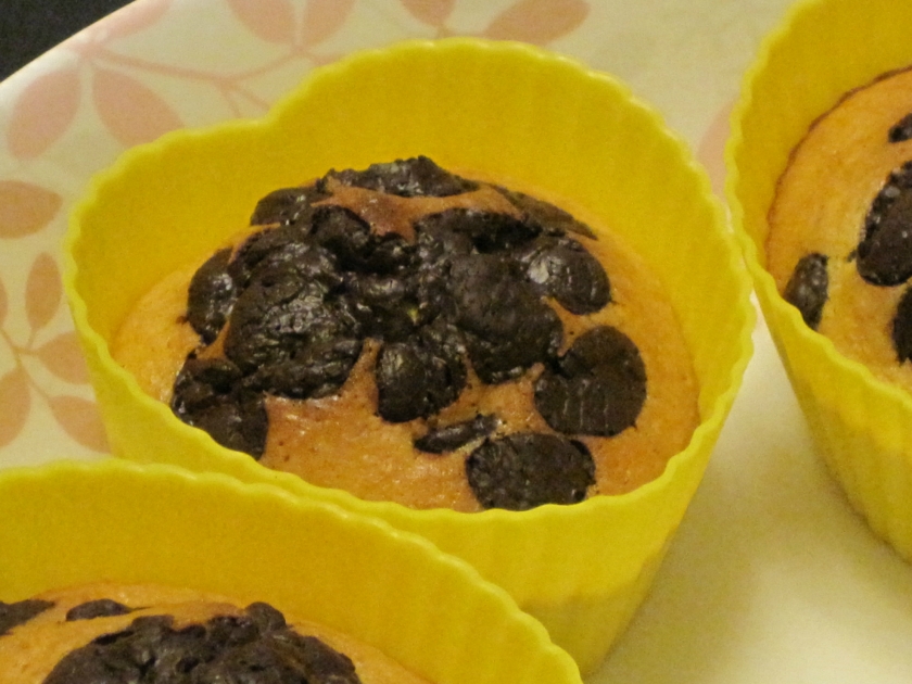 ����ɿ��������������