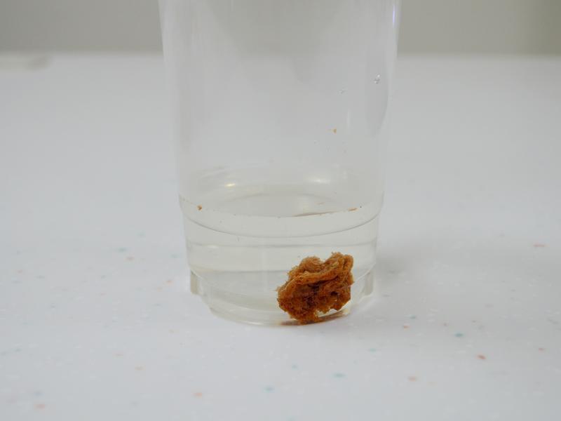 ���������ʵ�����